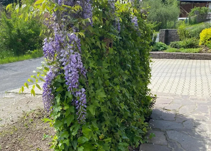 公寓 Marielle 塞博登